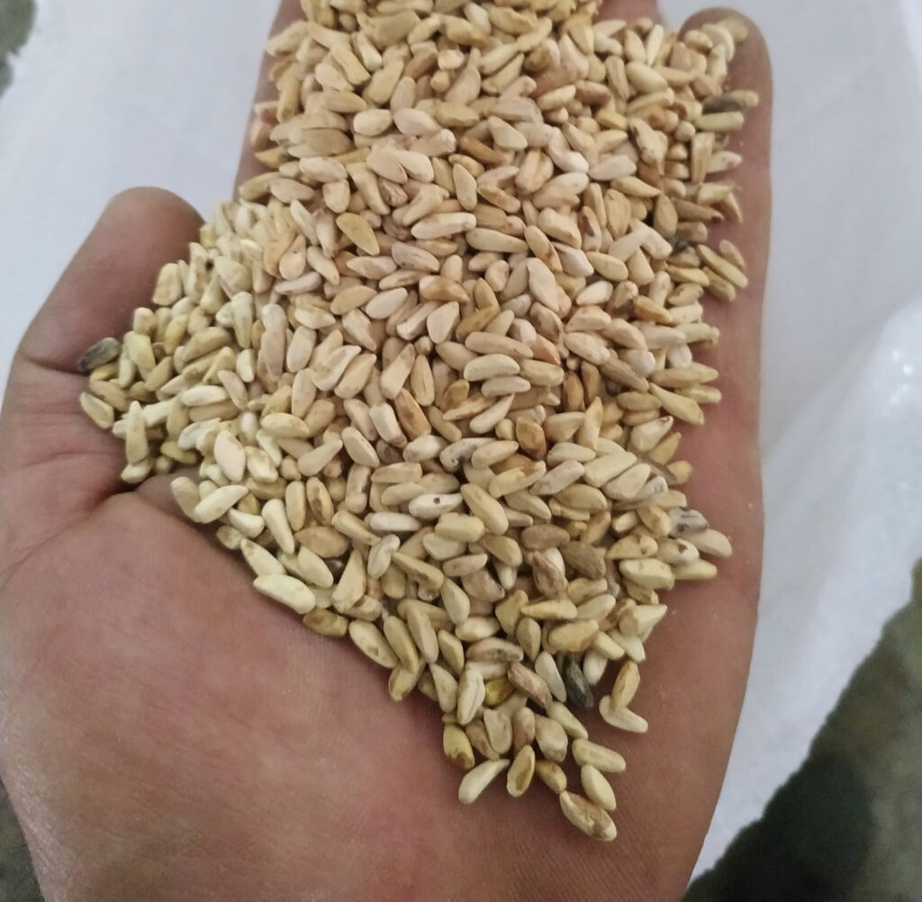 9069c23f-16cb-4d98-835d-8efd7c24c95d