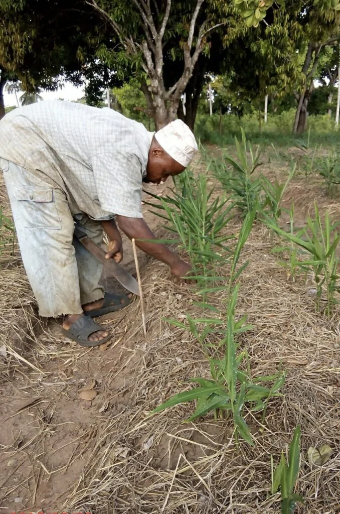 African Oils - Quality, Ethically Produced Natural Oils - Fairoils