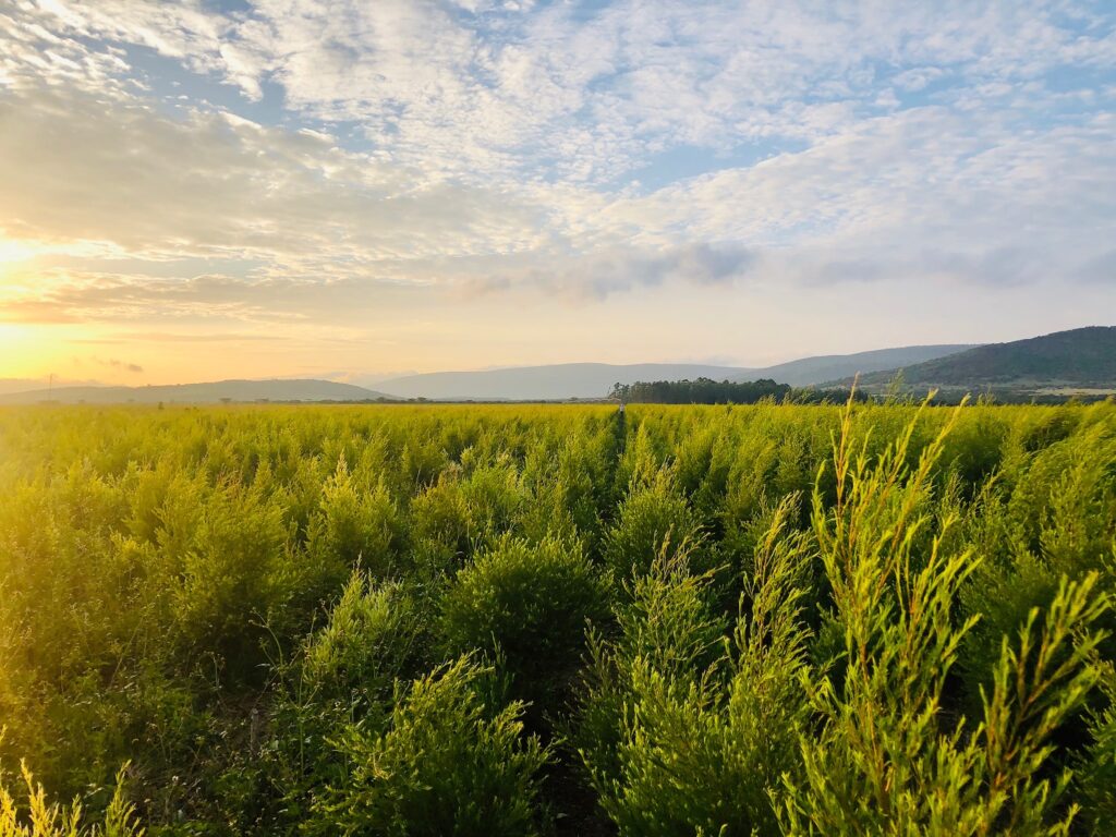 Photo Jun 24, 07 01 14