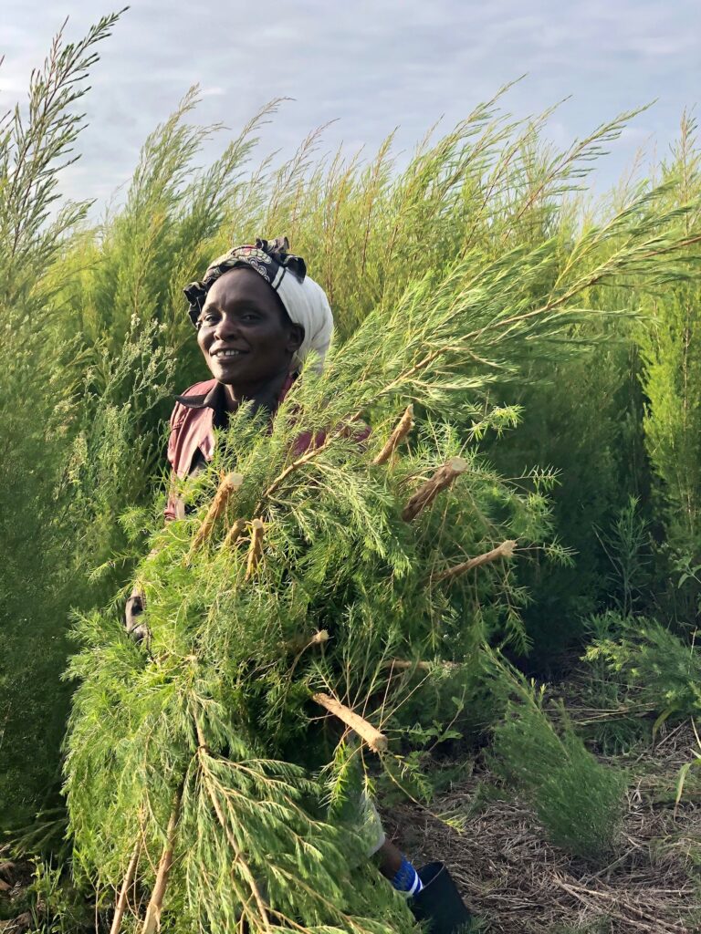 Photo Jun 24, 07 55 25