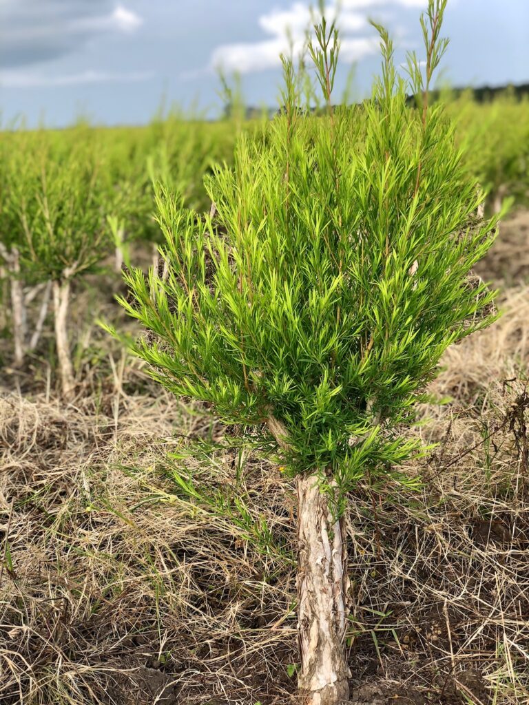 Photo Jun 24, 08 19 56