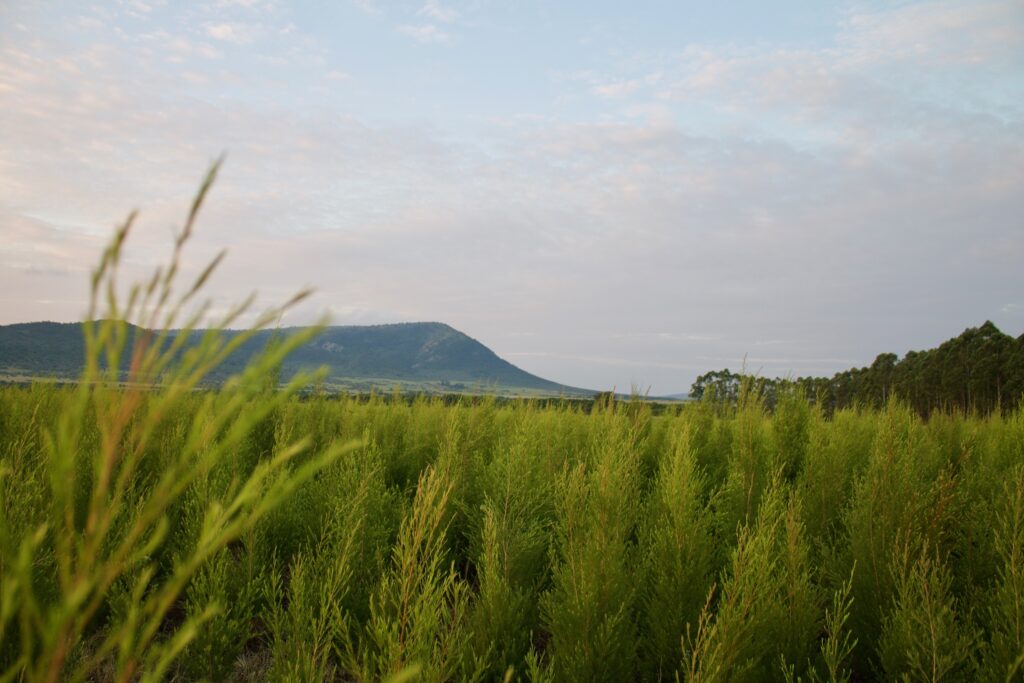 Photo Jun 24, 08 58 13