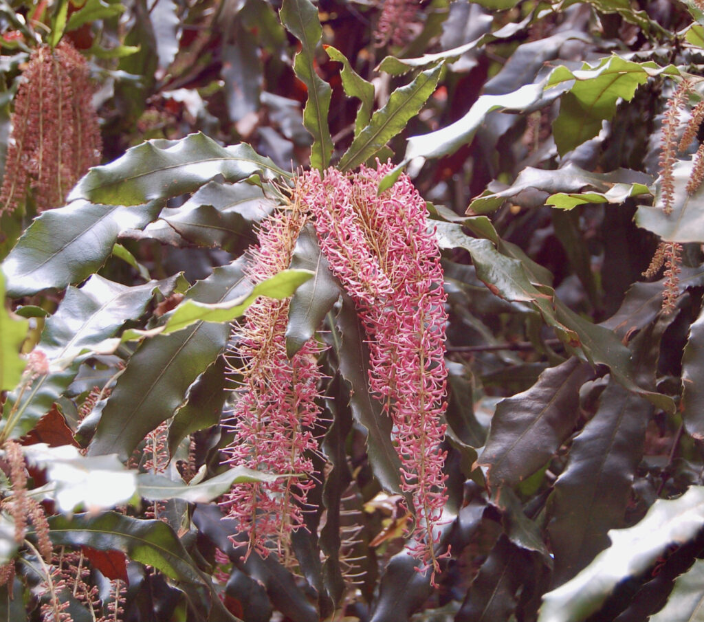 Weleda Kenya Trip Sept11 165